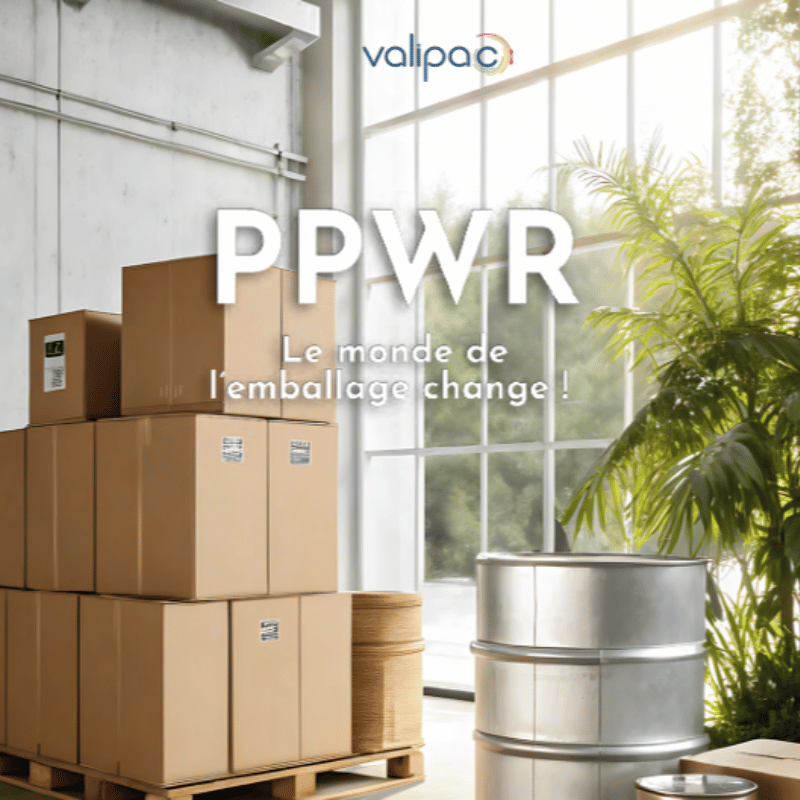 Design Sans Titre (1)