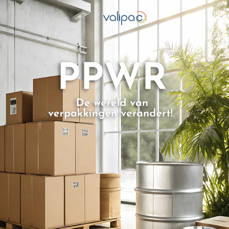 Design Sans Titre (2)